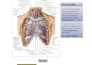 be posting medical notes